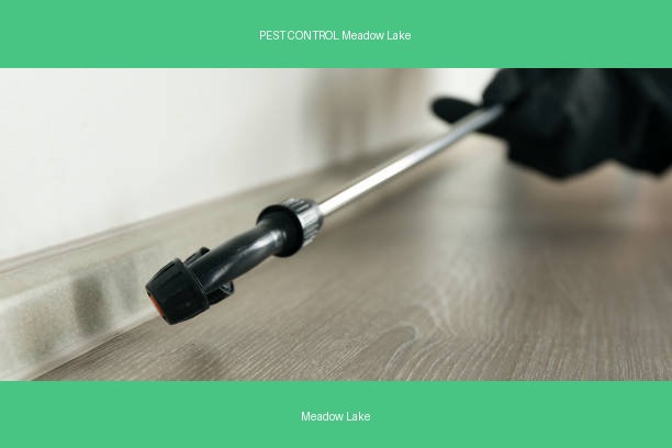 PEST CONTROL Meadow Lake